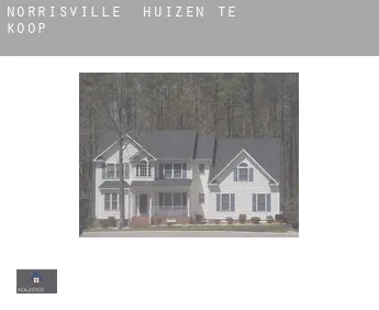 Norrisville  huizen te koop