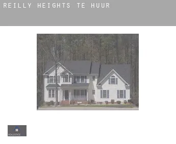 Reilly Heights  te huur