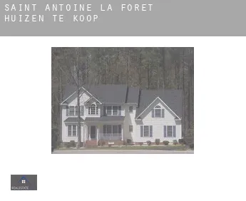 Saint-Antoine-la-Forêt  huizen te koop