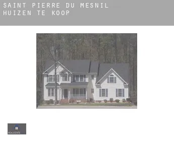 Saint-Pierre-du-Mesnil  huizen te koop