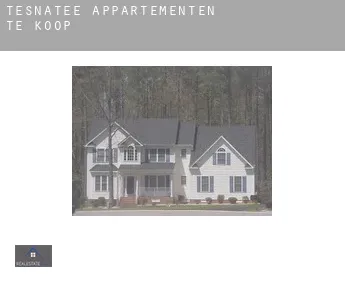 Tesnatee  appartementen te koop