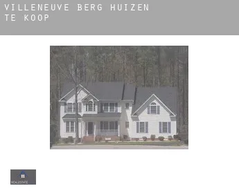 Villeneuve-de-Berg  huizen te koop