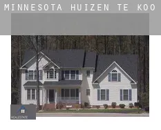 Minnesota  huizen te koop