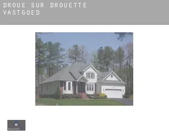 Droue-sur-Drouette  vastgoed