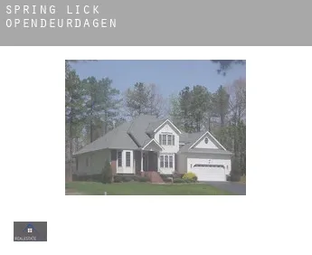 Spring Lick  opendeurdagen