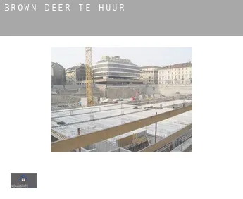 Brown Deer  te huur