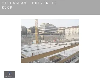 Callaghan  huizen te koop