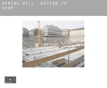 Spring Hill  huizen te koop