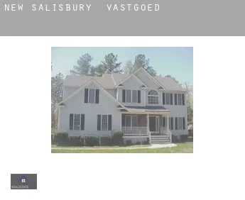 New Salisbury  vastgoed