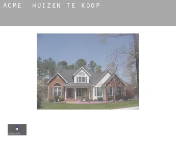 Acme  huizen te koop