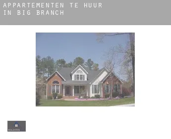 Appartementen te huur in  Big Branch