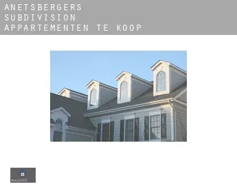 Anetsberger's Subdivision  appartementen te koop