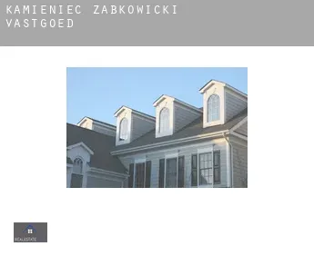 Kamieniec Ząbkowicki  vastgoed