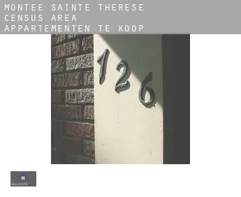 Montée-Sainte-Thérèse (census area)  appartementen te koop