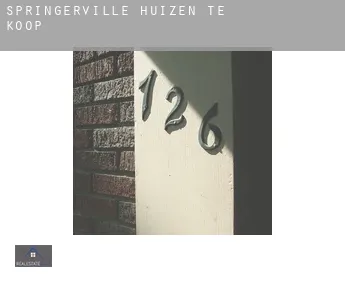 Springerville huizen te koop
