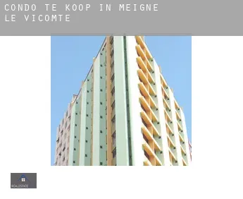 Condo te koop in  Meigné-le-Vicomte