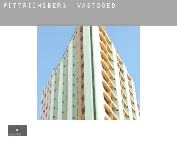 Pittrichsberg  vastgoed