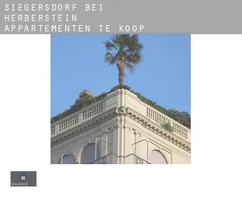 Siegersdorf bei Herberstein  appartementen te koop